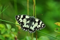 10 07 16_8996_edited-1